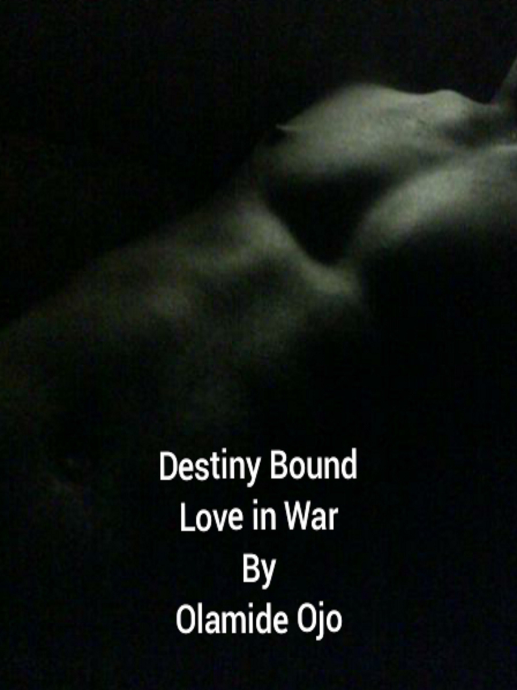 Destiny Bound -Love in War