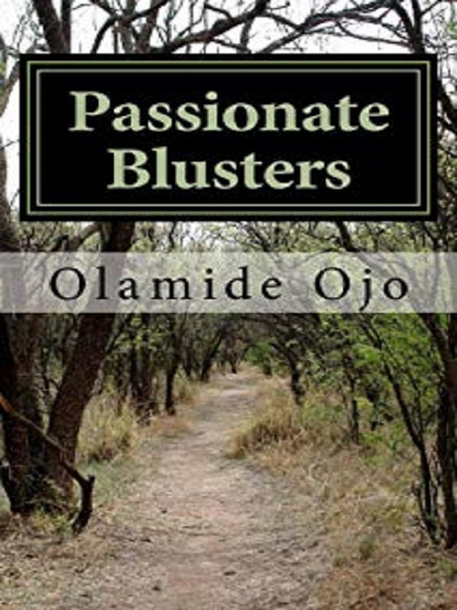 Poems about life- Passionate Blusters by Olamide Ojo