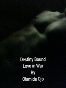 Destiny Bound- Love in War by Olamide Ojo
