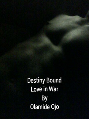 Best romace nove;s for Audlts: Destiny Bound- Love in War